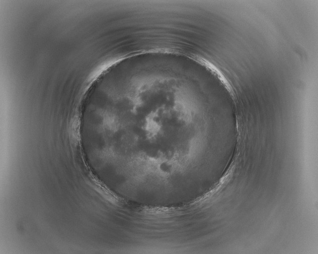X0000116561019200912101445