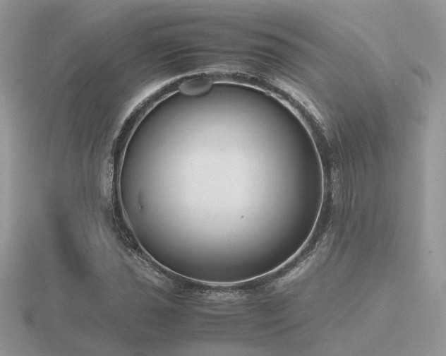 X0000116561021200912101445