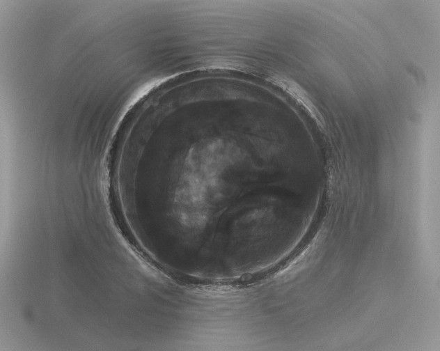 X0000116561024200912101445