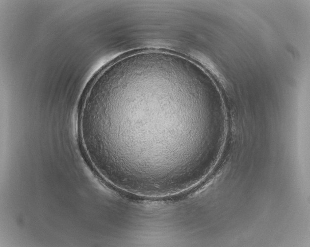 X0000116561032200912101446
