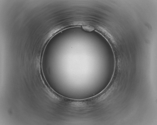 X0000116561033200912101446