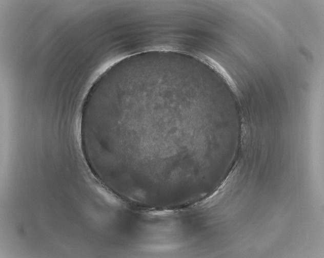 X0000116561035200912101446