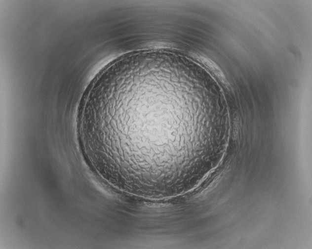 X0000116561039200912101446