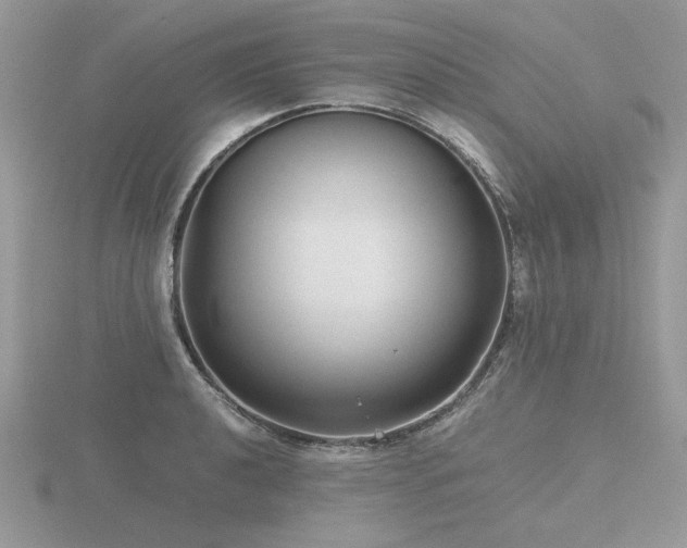 X0000116561040200912101446