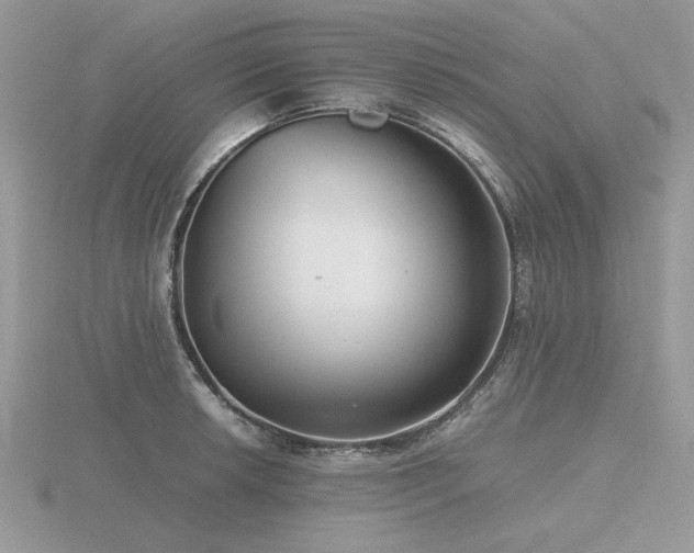 X0000116561042200912101446