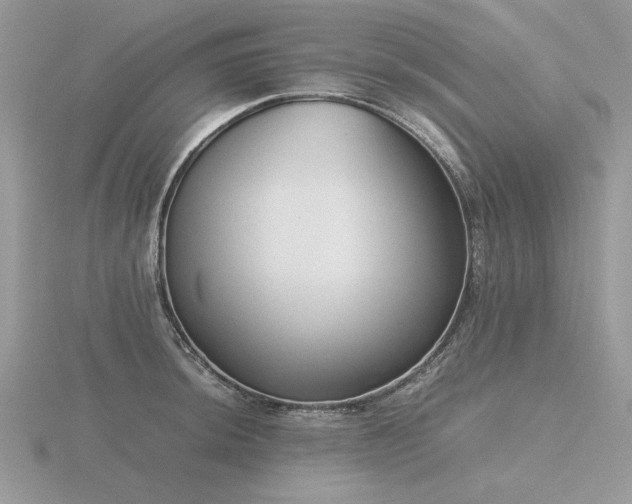 X0000116561044200912101446