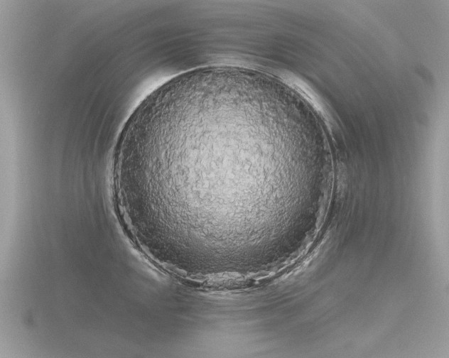 X0000116561048200912101446