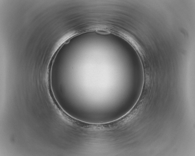 X0000116561050200912101446