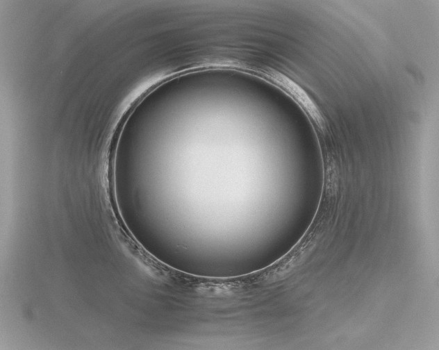 X0000116561051200912101446