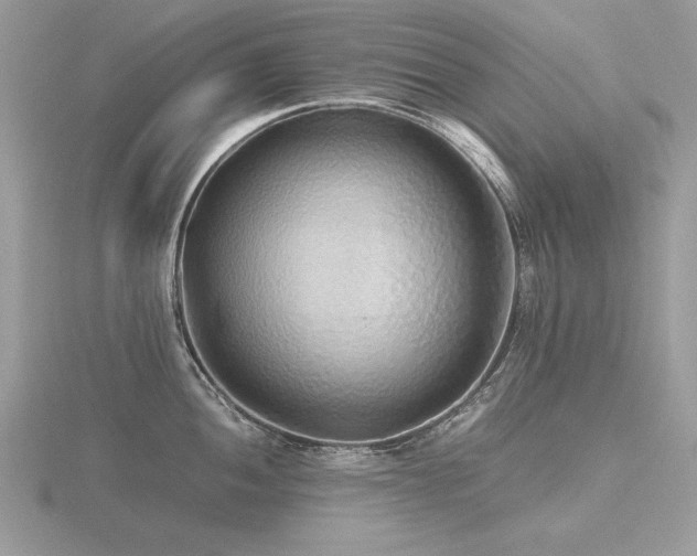 X0000116561052200912101446