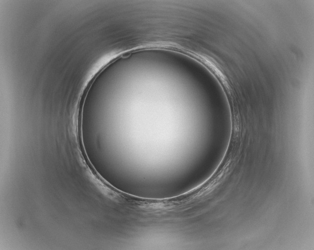 X0000116561054200912101446