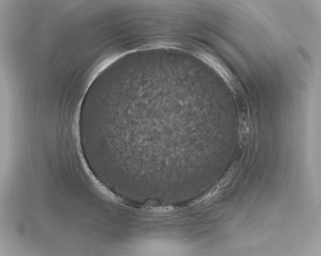X0000116561055200912101446