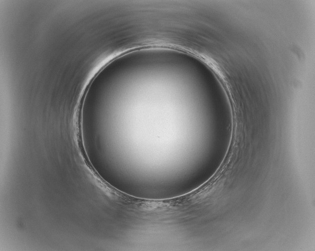 X0000116561056200912101446