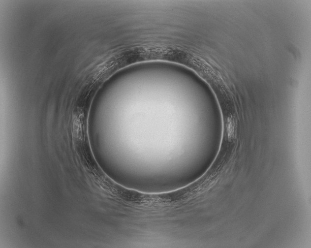 X0000116561059200912101445