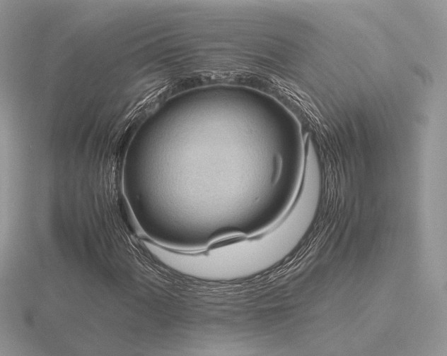 X0000116561060200912101445