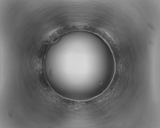 X0000116561062200912101445