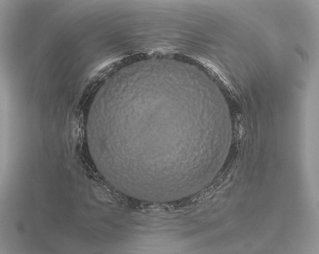 X0000116561063200912101445