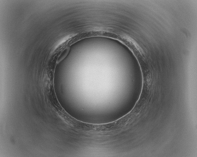 X0000116561064200912101445