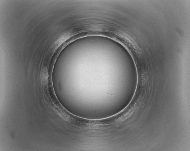 X0000116561065200912101445