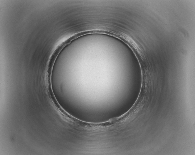 X0000116561072200912101445
