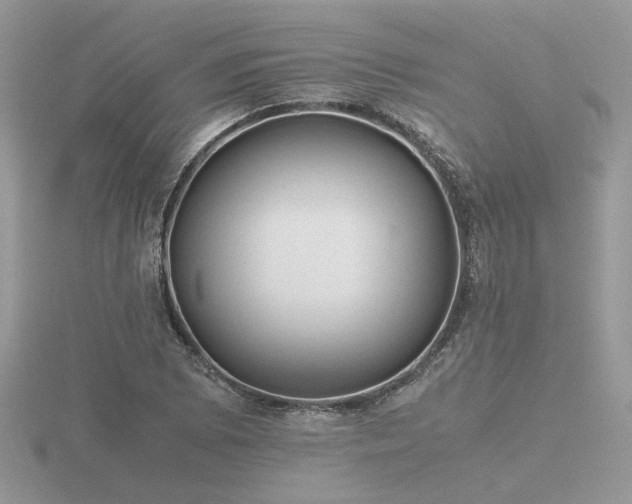 X0000116561073200912101445
