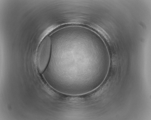 X0000116561077200912101445