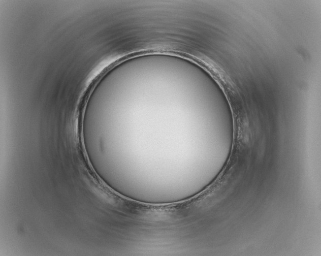 X0000116561078200912101445