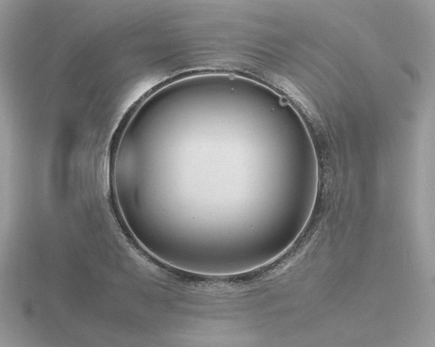 X0000116561079200912101445