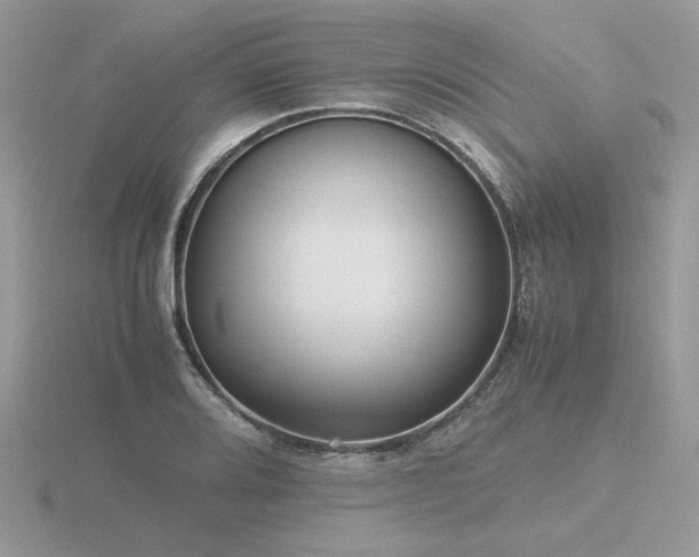 X0000116561080200912101445