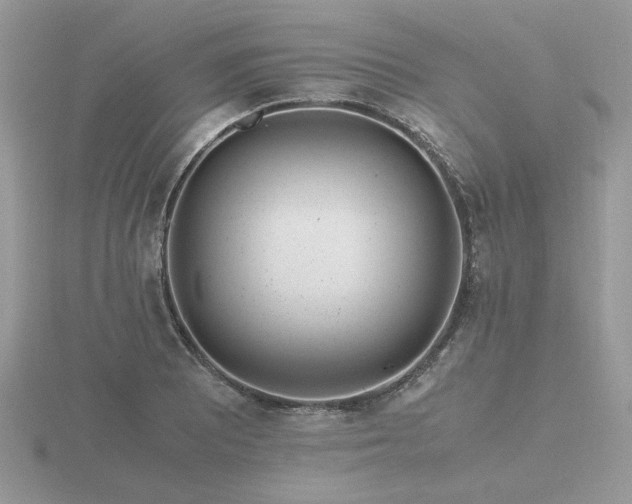 X0000116561081200912101445