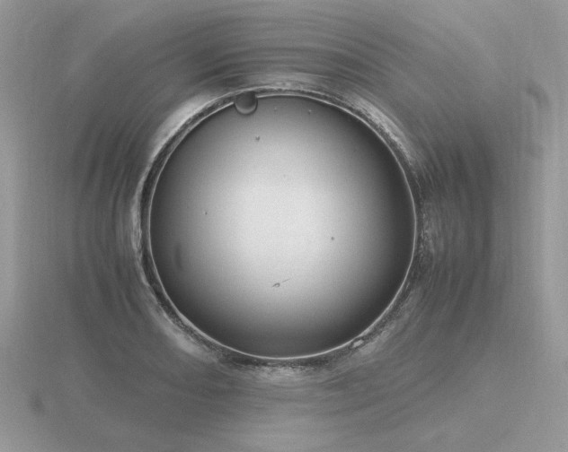 X0000116561082200912101445