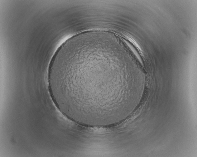 X0000116561087200912101445