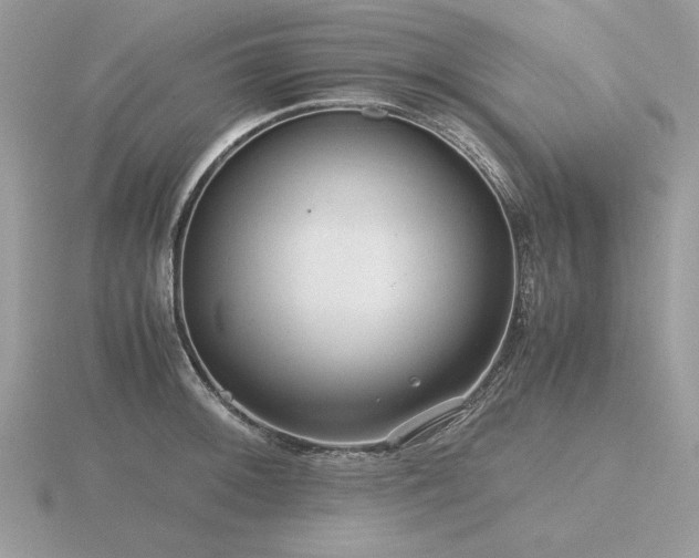 X0000116561092200912101445