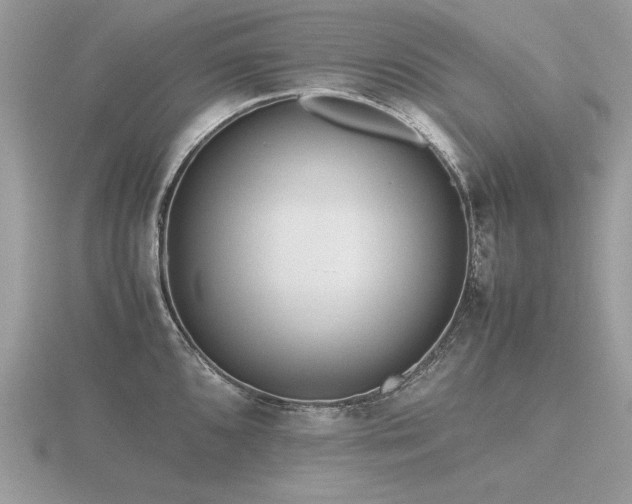 X0000116561096200912101444