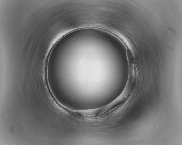 X0000116561102200912101444