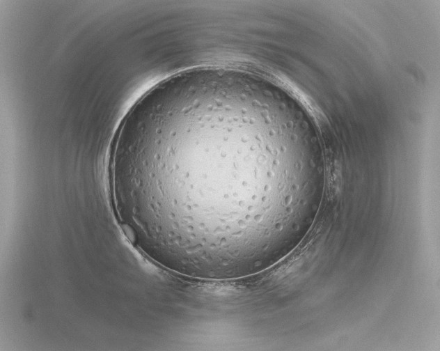 X0000116561103200912101444