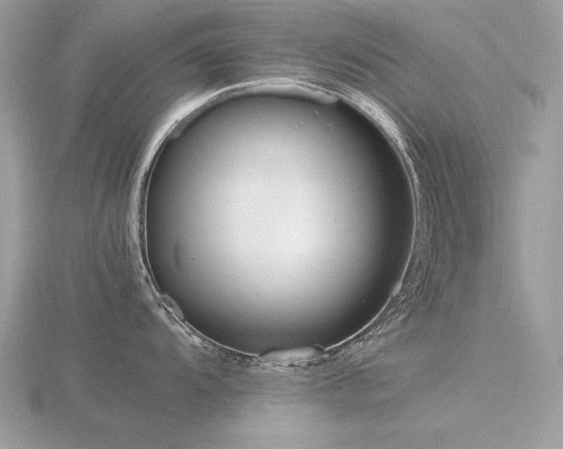 X0000116561104200912101444