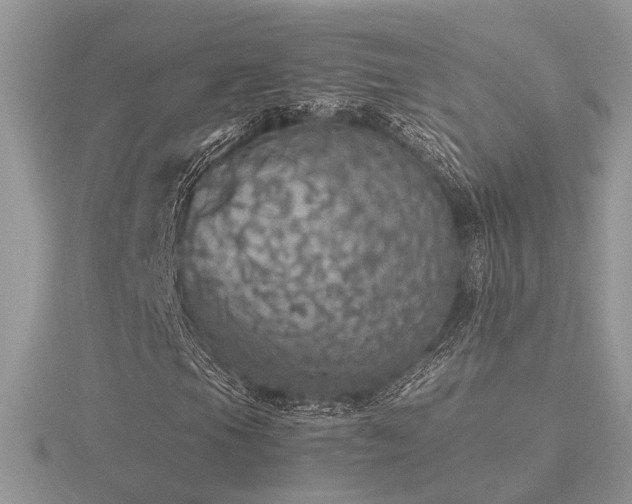 X0000116561105200912101444