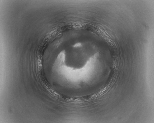 X0000116561106200912101444