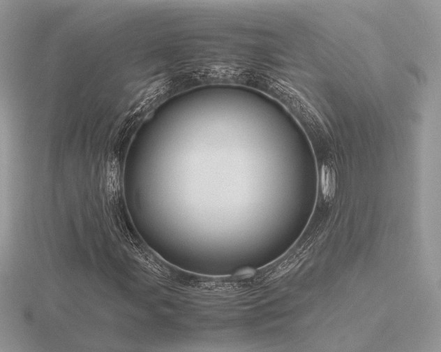 X0000116561107200912101444