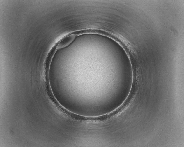 X0000116561118200912101444