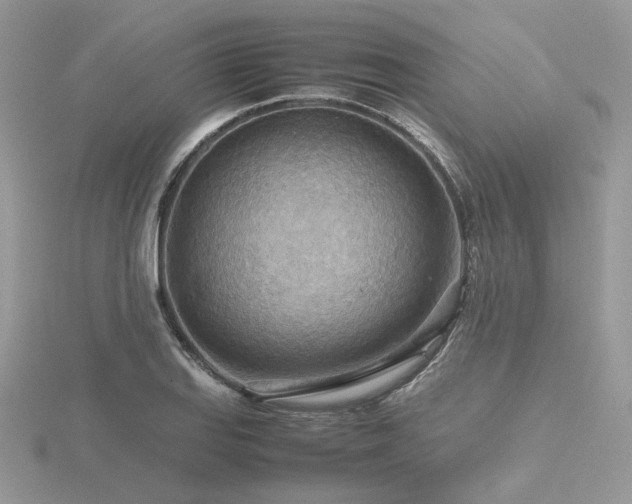 X0000116561127200912101444