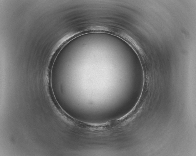 X0000116561133200912101444
