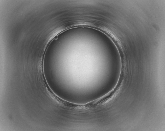 X0000116561137200912101444