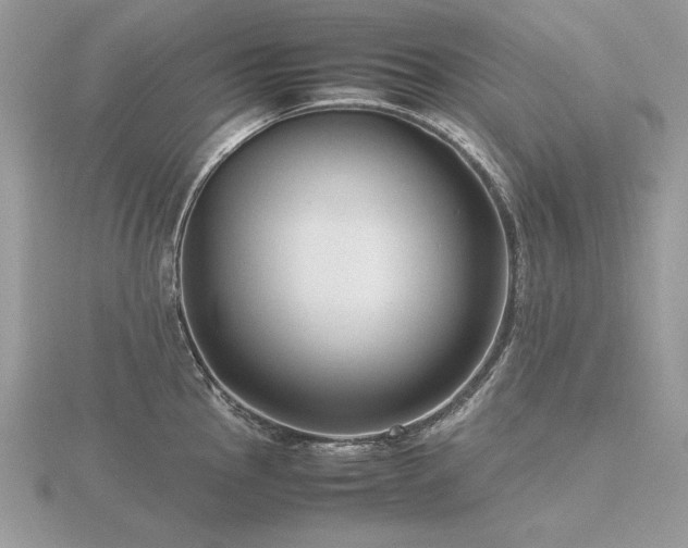 X0000116561145200912101444