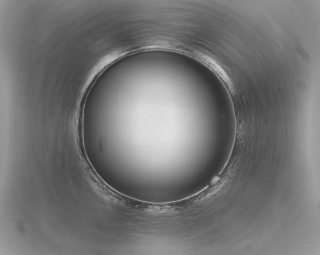 X0000116561146200912101444