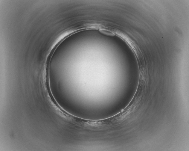 X0000116561147200912101444