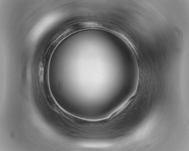 X0000116561151200912101444