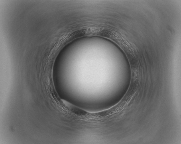 X0000116561153200912101444