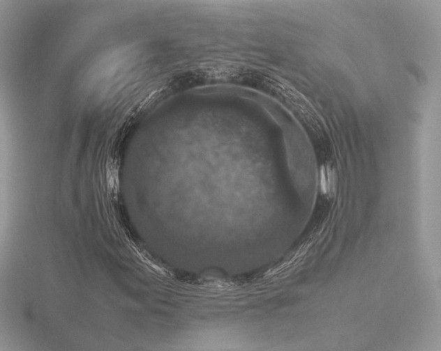 X0000116561155200912101444